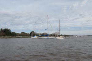 IMG_0081