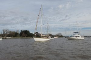 IMG_0099