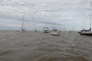 IMG_0181