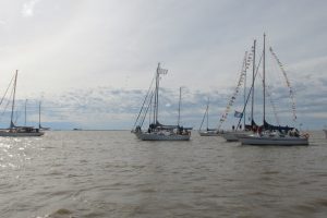 IMG_0221