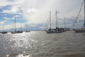 IMG_0226