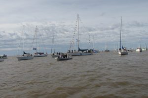 IMG_0229