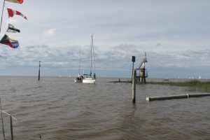 IMG_0248