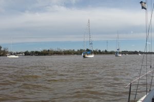 IMG_0250