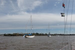 IMG_0251