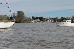 IMG_0255