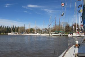 IMG_0270
