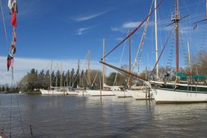 IMG_0273
