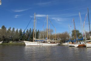 IMG_0275