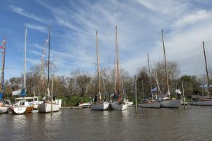 IMG_0278