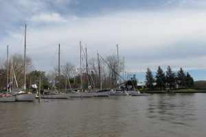 IMG_0279