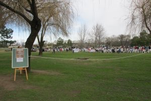 IMG_0282