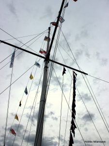 IMG_2206