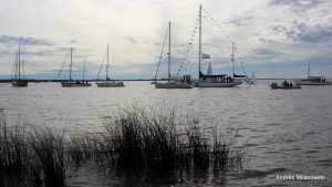IMG_2393