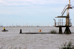 IMG_2396