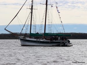 IMG_2398