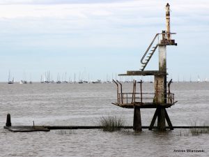 IMG_2405