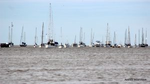 IMG_2437