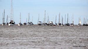 IMG_2439