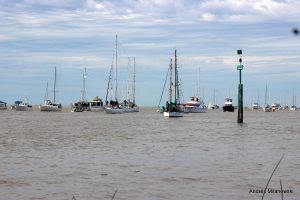 IMG_2463