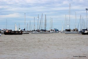 IMG_2479