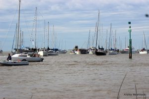 IMG_2491