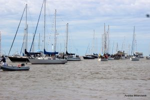 IMG_2506