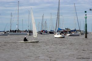 IMG_2519