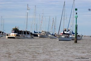 IMG_2547