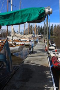 IMG_2669