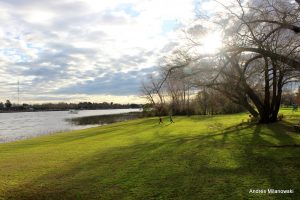 IMG_3020