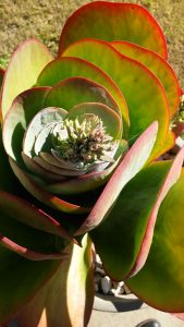 20160802_150913