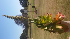 20160824_140055