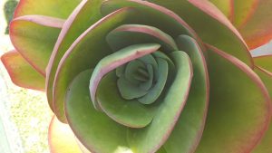20160824_140450