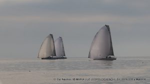 IMG_5176