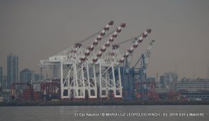 IMG_5221