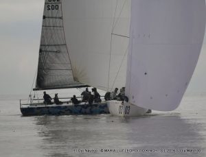 IMG_5246