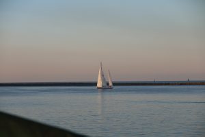IMG_6102